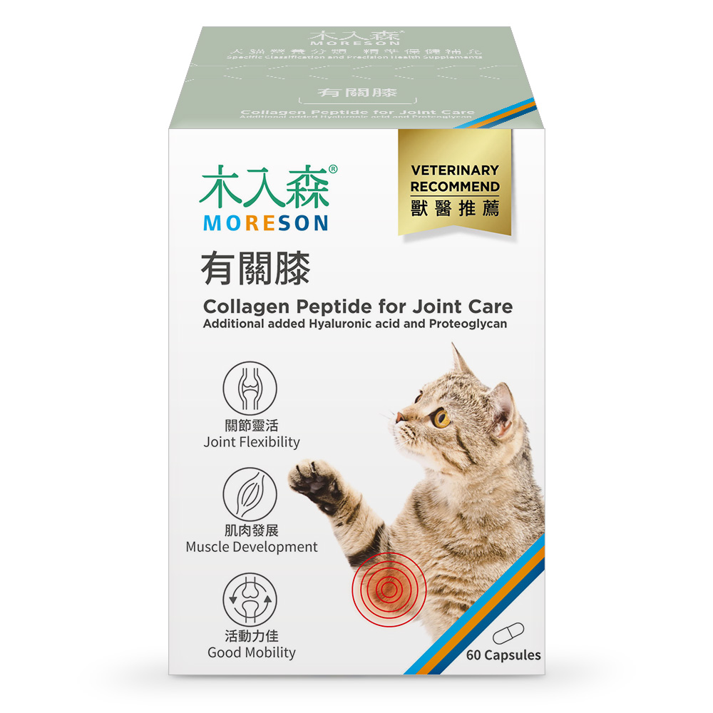 Collagen Peptide Hỗ Trợ Xương Khớp