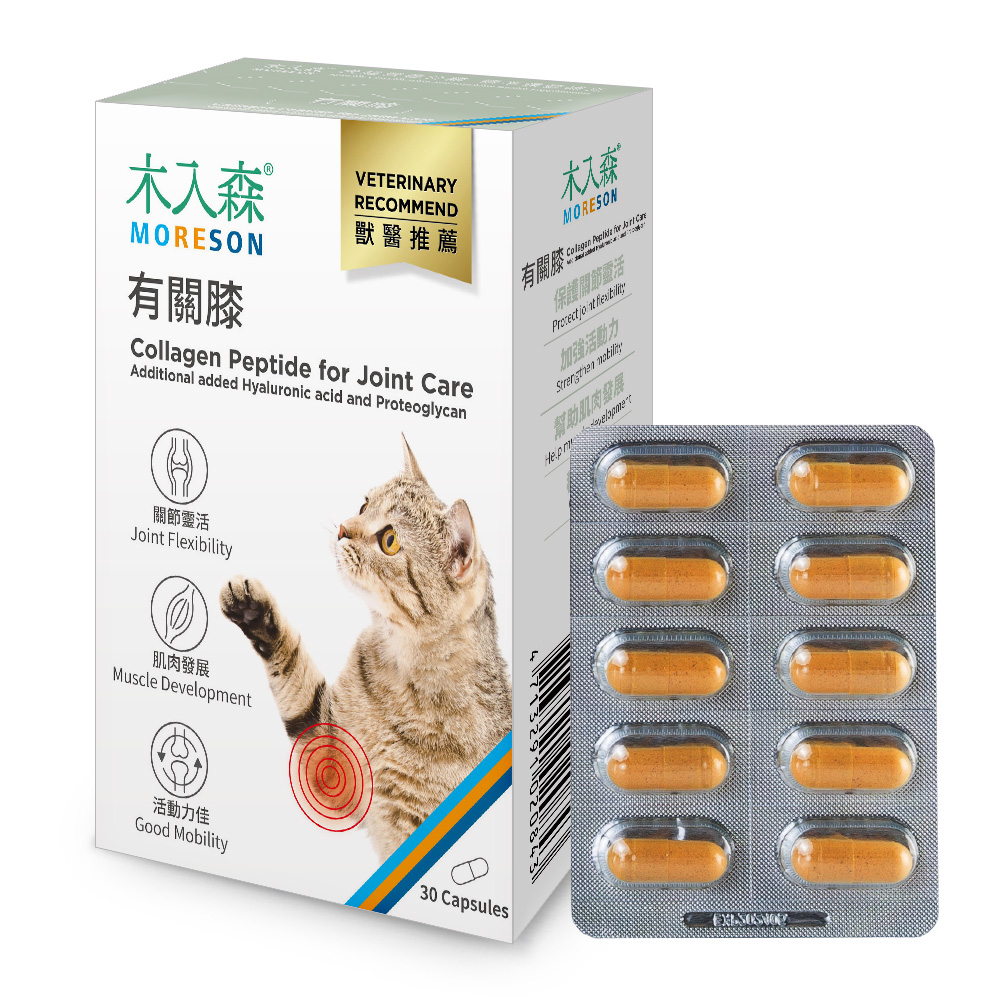 Collagen Peptide Hỗ Trợ Xương Khớp - Ảnh 3