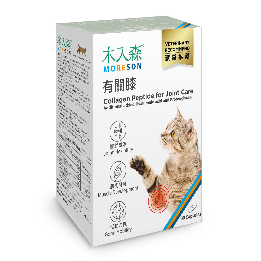 Collagen Peptide Hỗ Trợ Xương Khớp - Ảnh 4