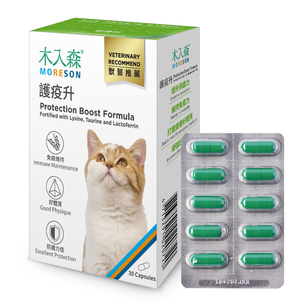 Tăng Cường Hệ Miễn Dịch - Ảnh 3